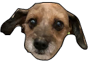 GBdixie