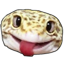 GBgecko